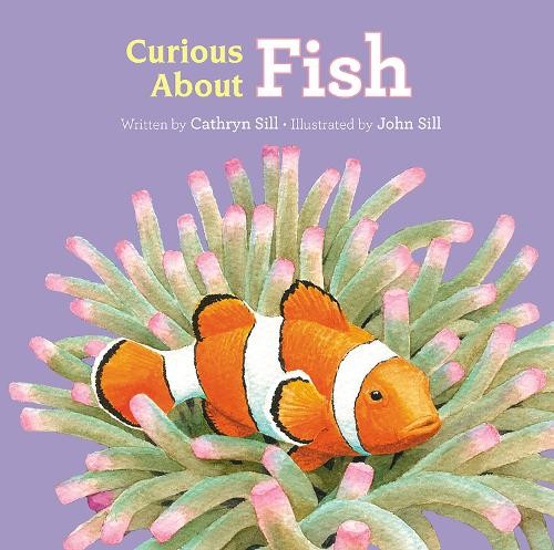 Cathryn Sill Curious About Fish (Board Book) Discovering NatureAnother great item from Rarewaves USA | Free delivery!