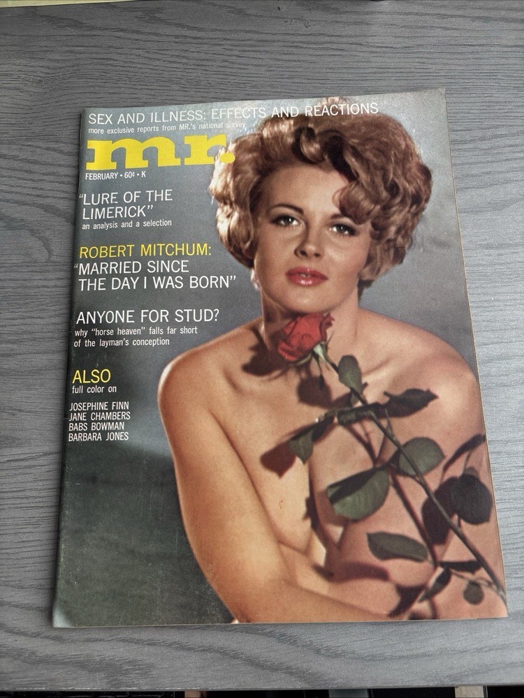 MR.  FEBRUARY  1968  – Vintage Pinup Magazine