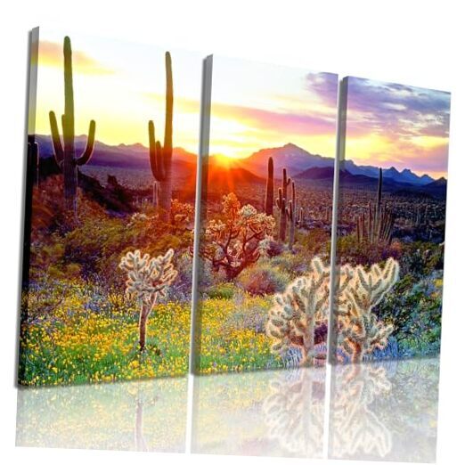 3 Piece Native American Wall Decor Sunset with Saguaros in Sonoran Desert