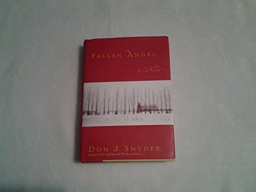 Fallen Angel by SNYDER Other book format Book The Fast Free ShippingFREE US DELIVERY | ISBN: 0743422317 | Quality Books