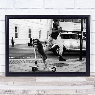 Busy London Dog Rush Run Wait Street United Kingdom Wall Art Print