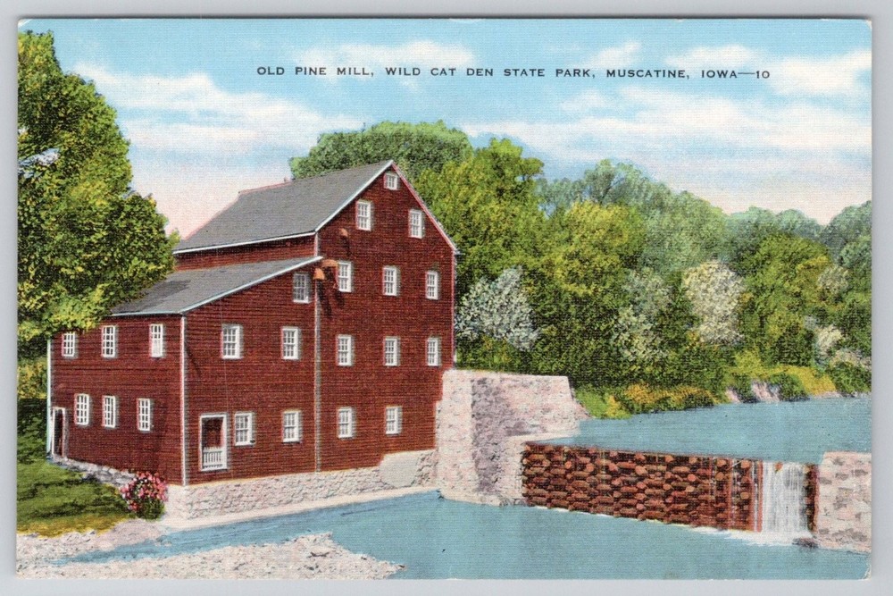 Old Pine Mill Wild Cat Den State Park Muscatine Iowa Linen Postcard