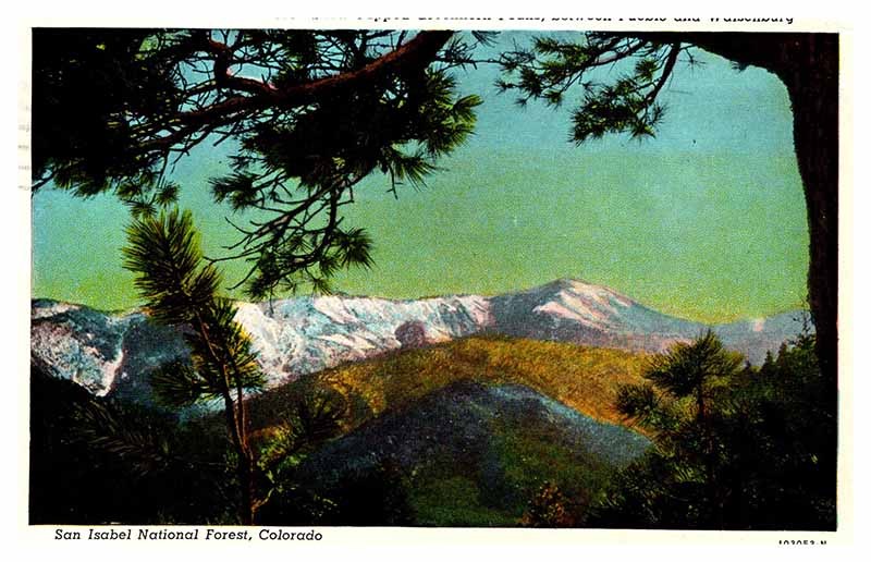 Postcard MOUNTAIN SCENE San Isabel National Forest Colorado CO m/09 AP5002