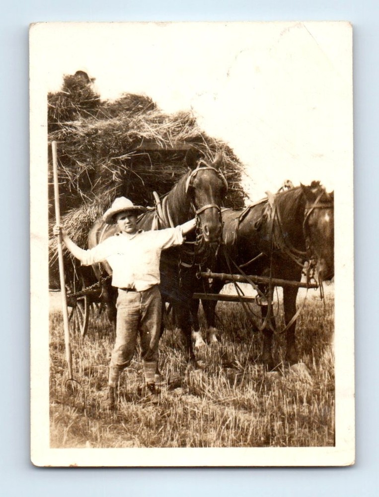Old Vintage Photo SOLO MAN FARMER PITCHFORK HAYSTACK HORSE DRAWN CART