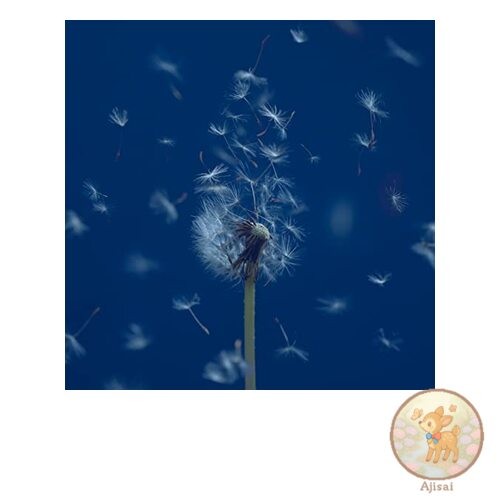 Music CD used The Place of the Soul / Regular Edition J-POP