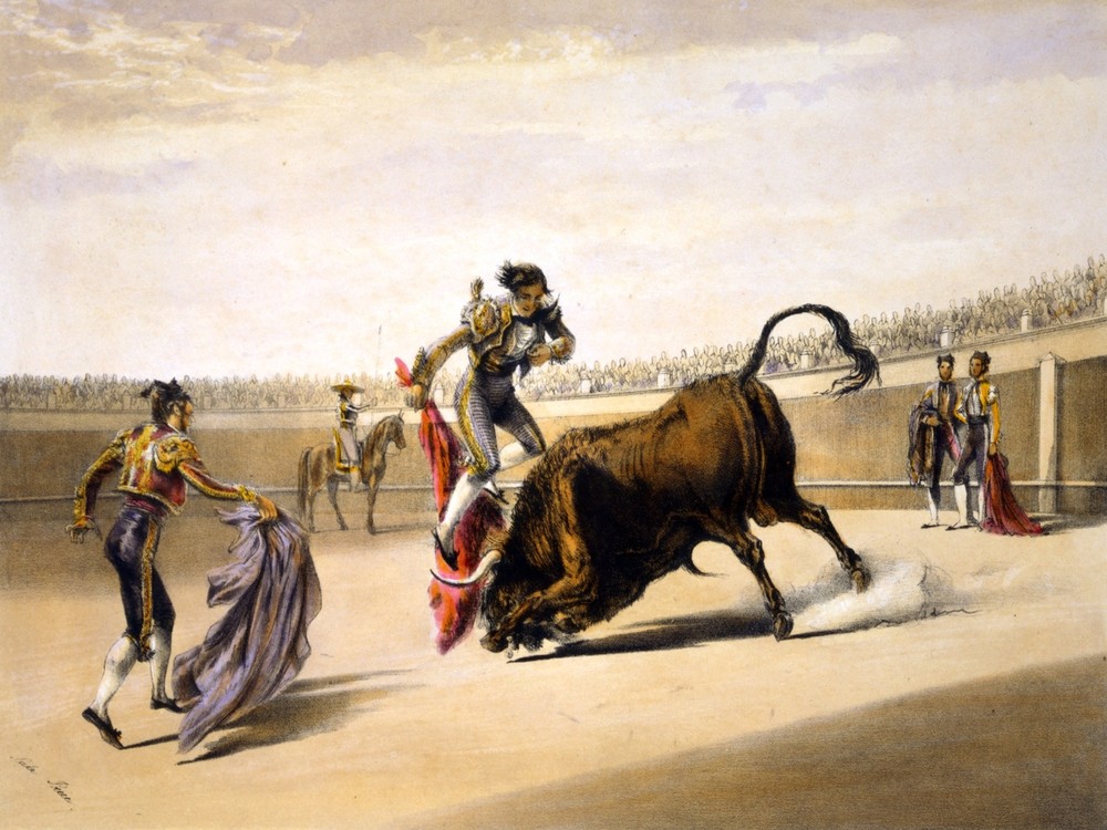 4007.Spaniard fighting with bull at bull fight.POSTER.Home School art decor