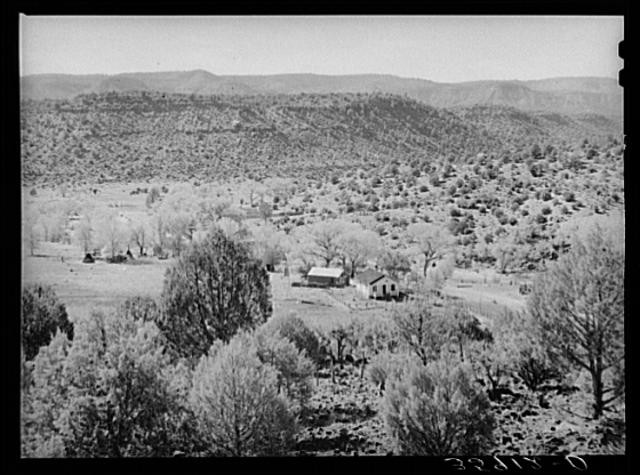 Carrizo Creek,Navajo County,Arizona,AZ,Farm Security Administration,1940,FSA,4