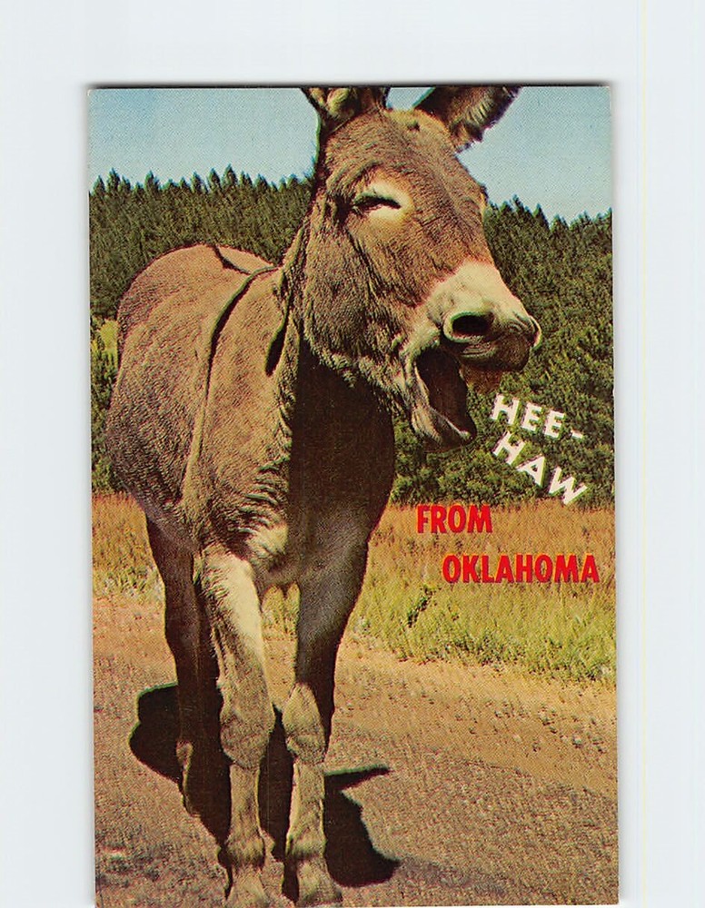 Postcard Hee Haw From Oklahoma USA