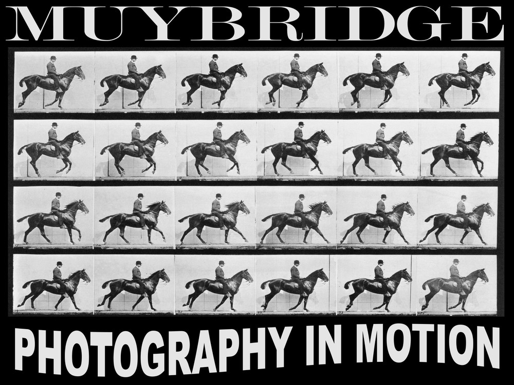 11499.Poster on Decorative.Wall art decoration.Muybridge photography.Equine