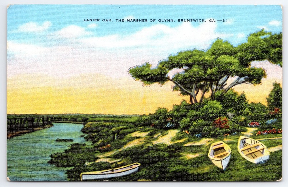 Lanier Oak Marshes of Glynn Brunswick GA Vintage Linen Postcard