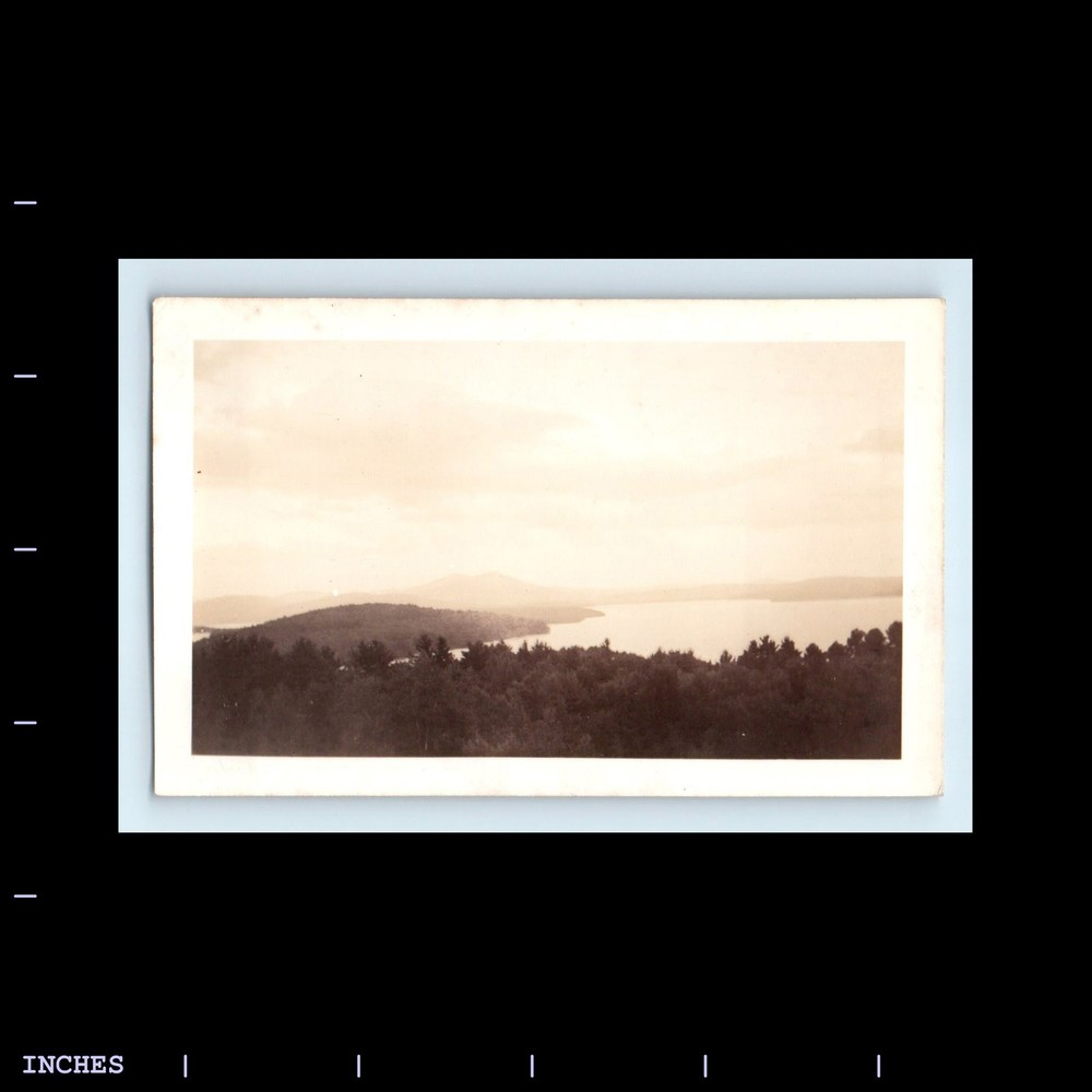 Old Vintage Photo MOUNTAIN LANDSCAPE FOREST TREES LAKE