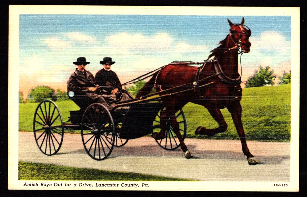 LANCASTER COUNTY PA. Amish Boys Out for a Drive  - Linen postcard