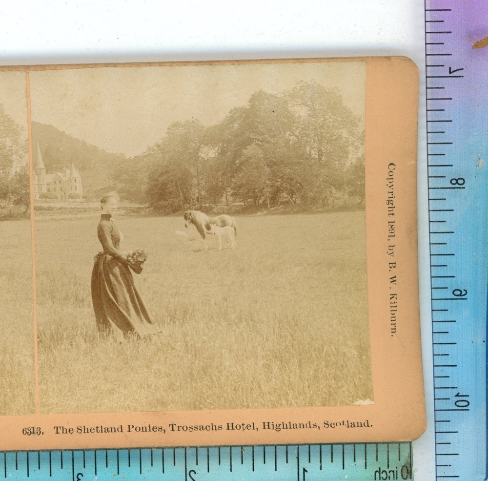 Shetland Ponies Trossachs Hotel Highlands Scotland B.W. Kilburn Stereoview