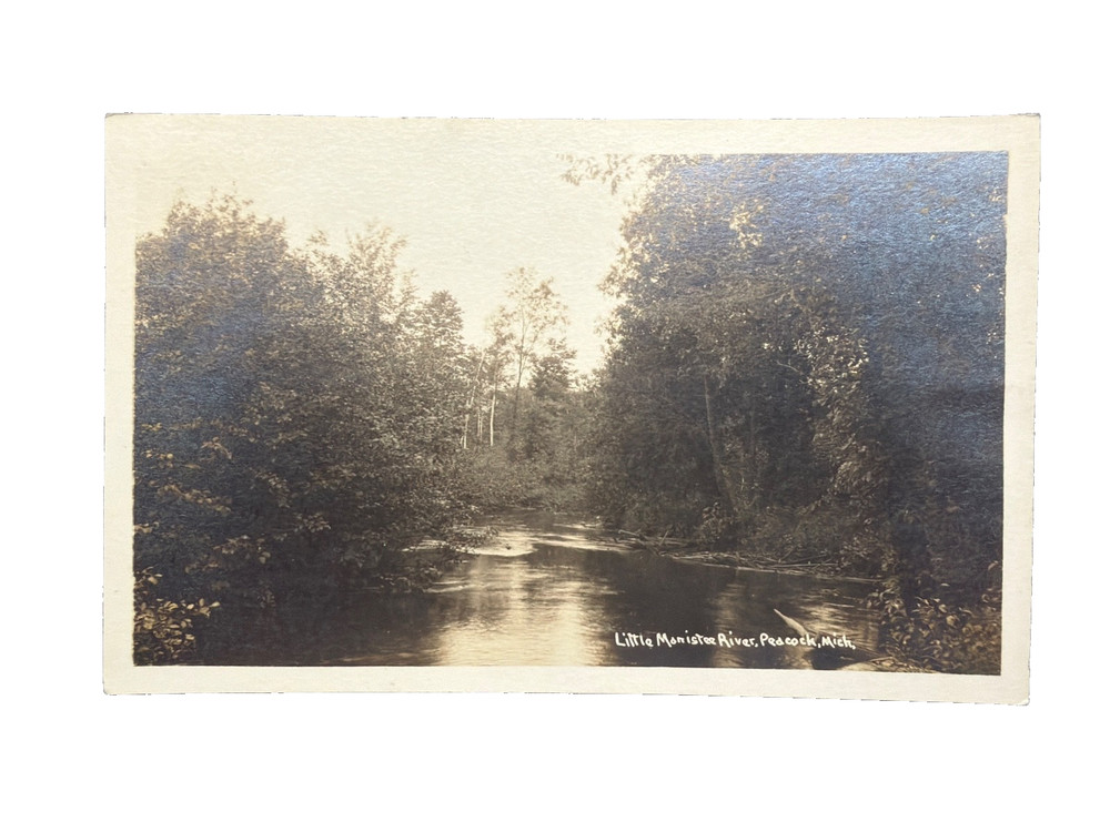 RPPC Little Manistee River Peacock, Michigan Photo-Vintage Postcard