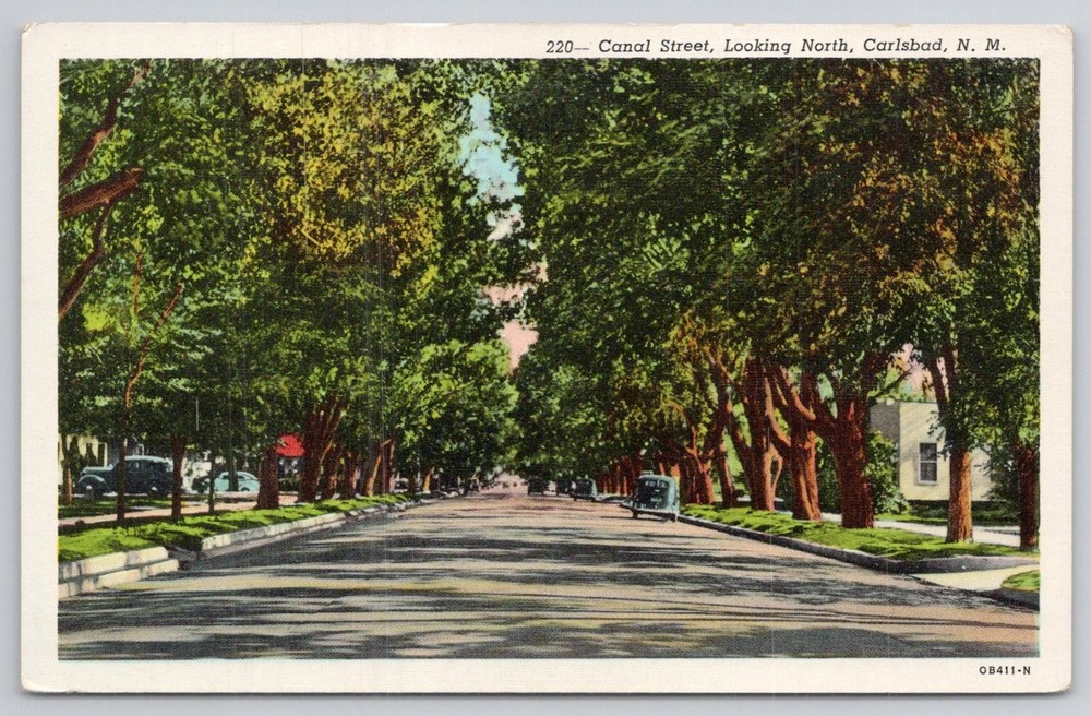Carlsbad NM Canal Street Shade Trees Vintage Linen Postcard Curteich