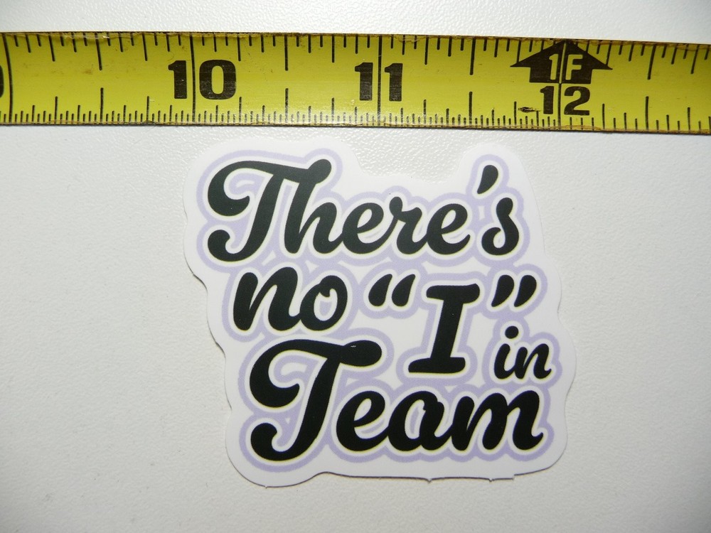 No I In Team Funny Sarcastic Sticker Decal Novelty