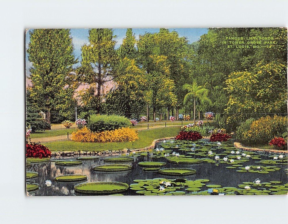 Postcard Famous Lily Ponds In Tower Grove Park St. Louis Missouri USA