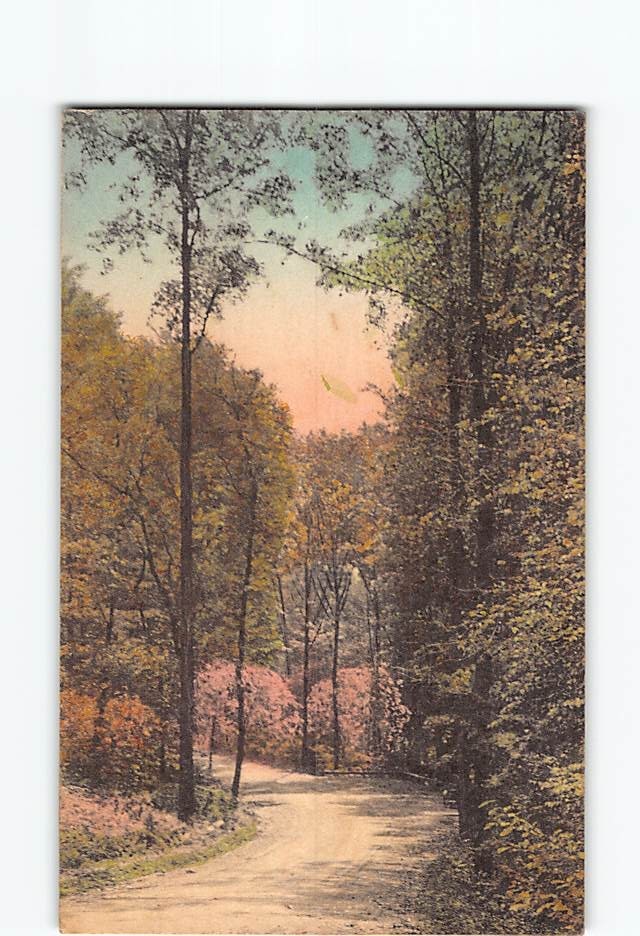 Postcard Drive McCormick's Creek Canyon State Park Spencer Indiana USA America