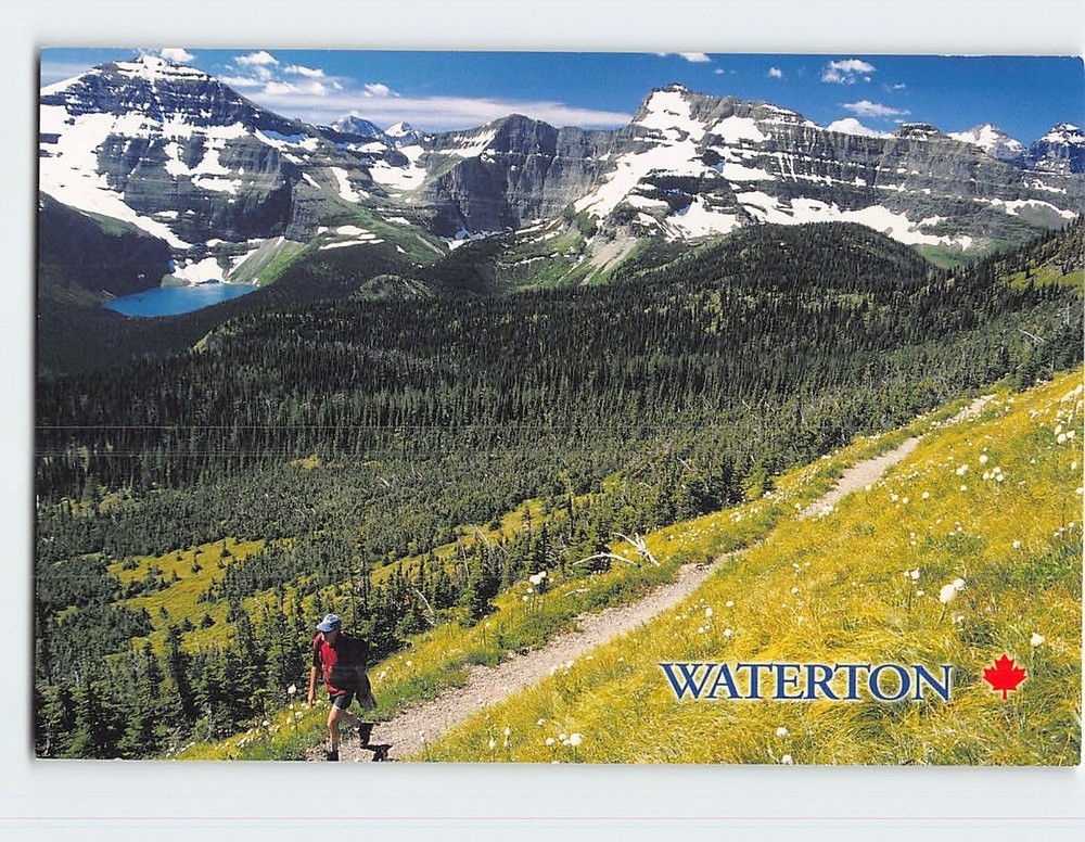 Postcard Waterton Lakes National Park Alberta Canada