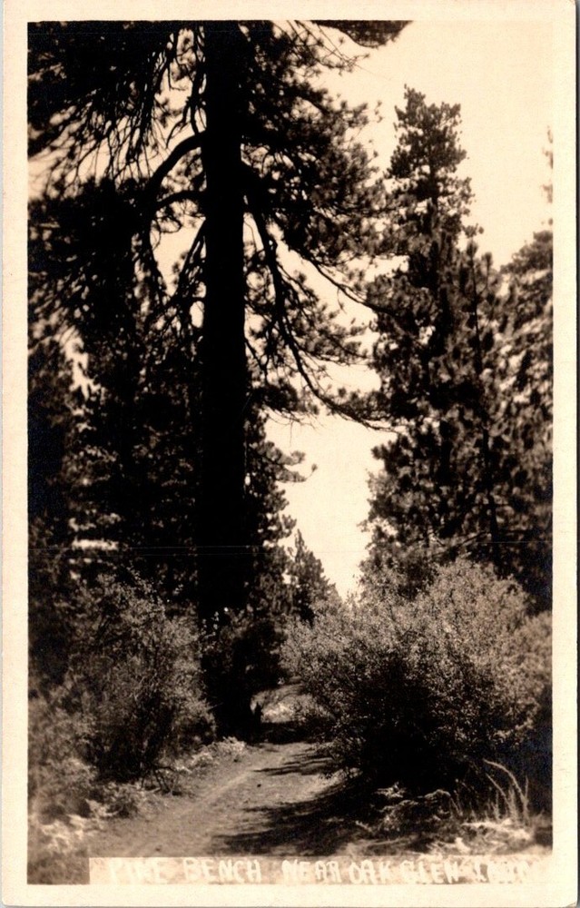 1930s Pine Bench Near Oak Glen Lodge California Vintage Real Photo Postcard
