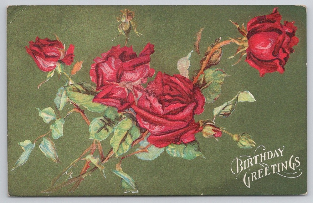 1898 Birthday Greetings Red Roses Postcard Posted Washington DC Easton PA