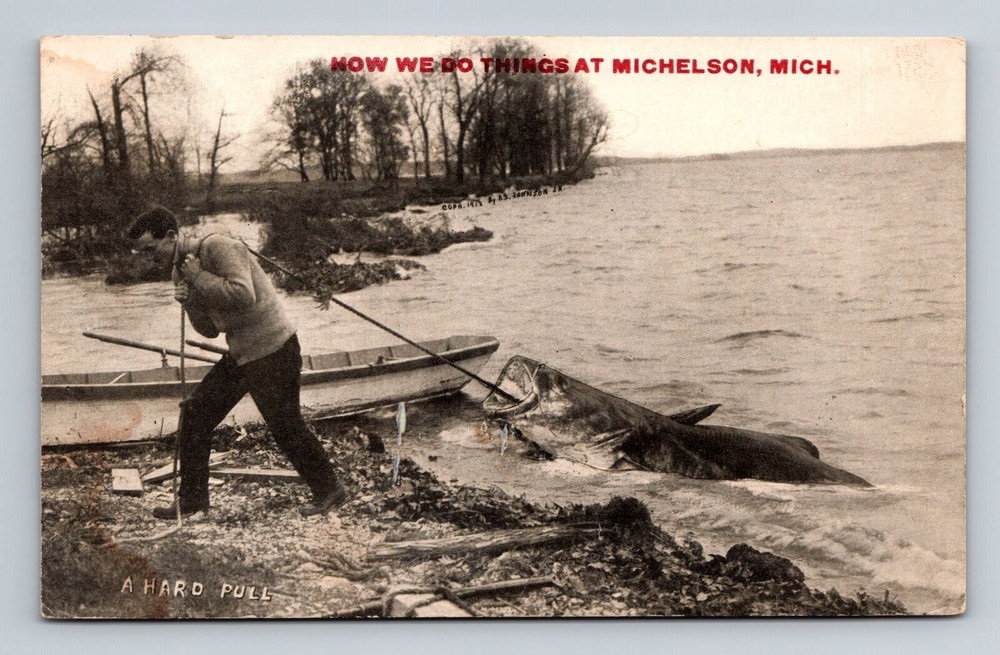 Michelson MI-Michigan, A Hard Pull Of Giant Fish, Comic, Vintage c1913 Postcard