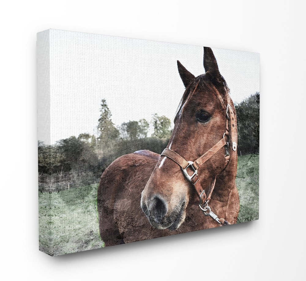 The Stupell Home Decor Collection Horse Posing in Field Canvas Wall Art, 30 x...