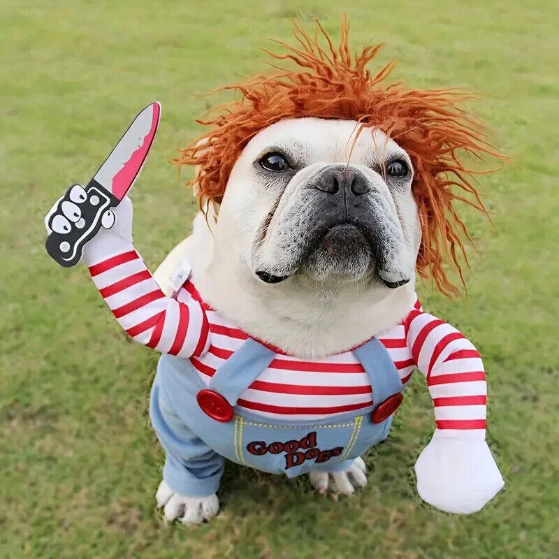 Chucky Halloween Dog Costume, Pet Costumes, Pet Halloween Outfit L & XL