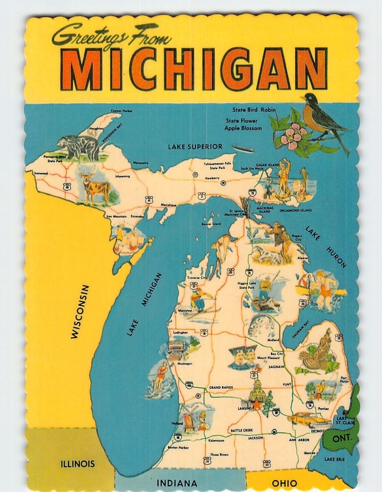 Postcard Greetings From Michigan USA