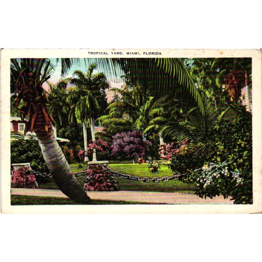 Vintage 1930 Miami Florida Tropical Yard Linen Postcard Palm Trees Postmarked