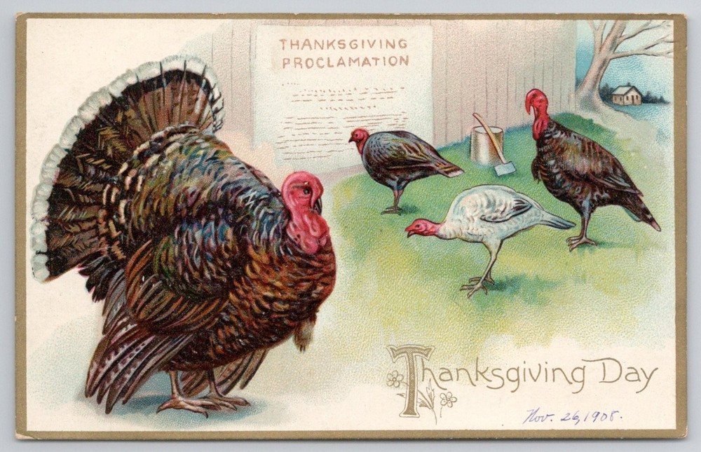 1908 Raphael Tuck Thanksgiving Proclamation Postcard Turkeys New Jersey