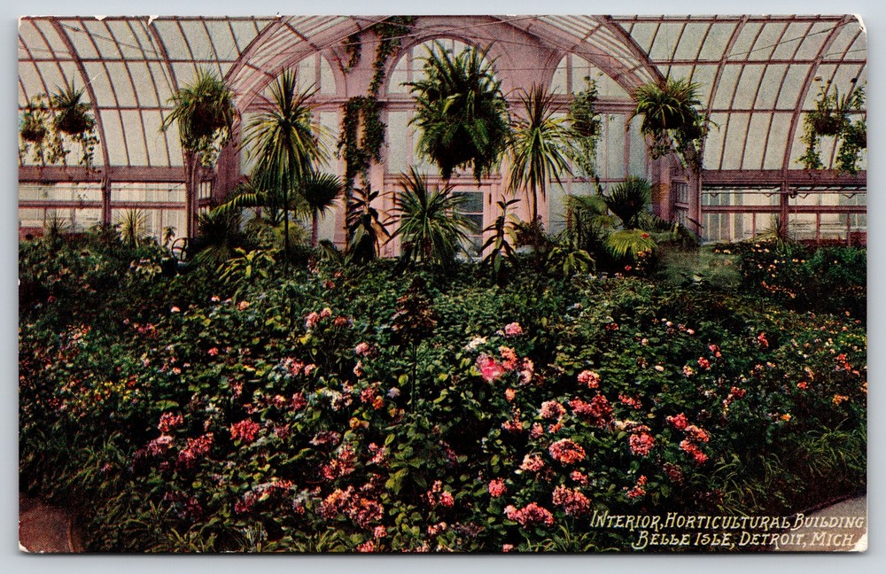 Detroit Michigan~Interior Horticultural Building Belle Isle~Vintage Postcard