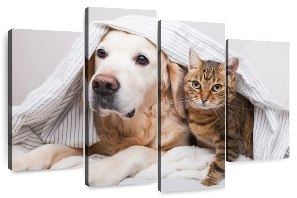 Cozy Dog And Cat Wall Art