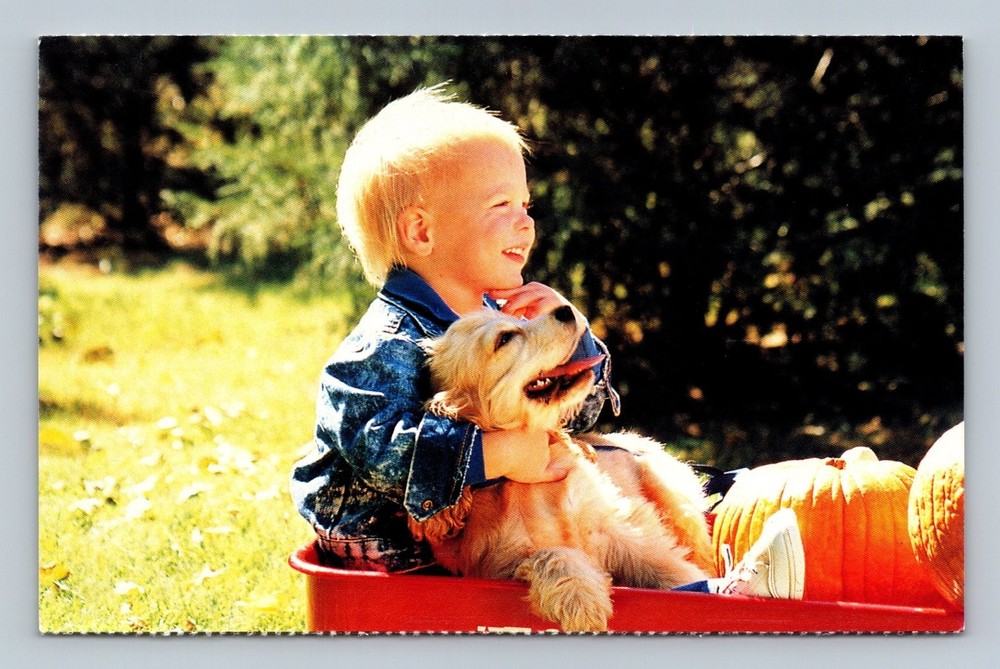 Vintage North Shore Animal League Adopt a Shelter Pet Postcard Child Dog