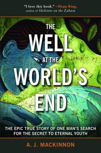 A J MacKinnon The Well at the World's End (Hardback)Another great item from Rarewaves USA | Free delivery!
