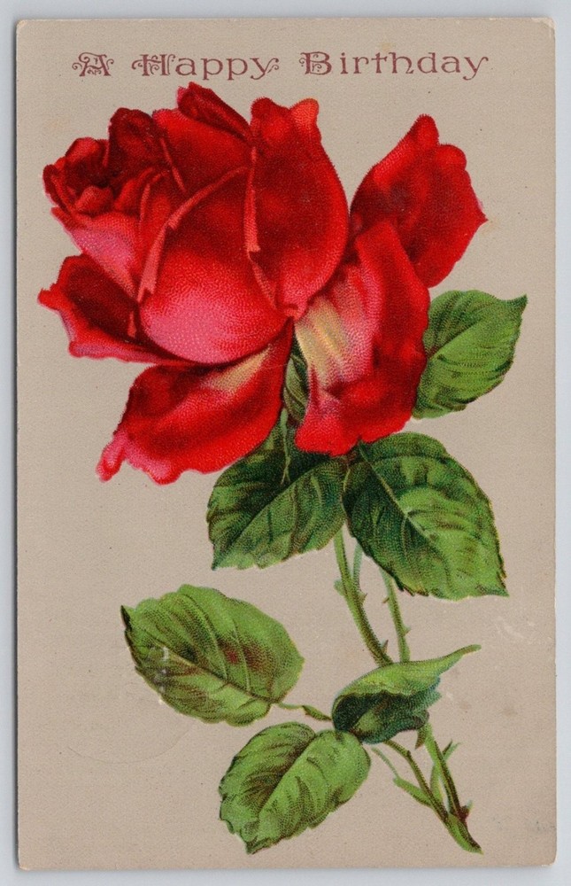 1913 Happy Birthday Postcard Red Rose Floral Hampton NJ Postmark German Print