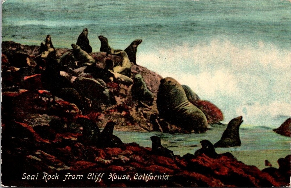 1912 The Seal Rock from Cliff House San Francisco California Vintage Postcard