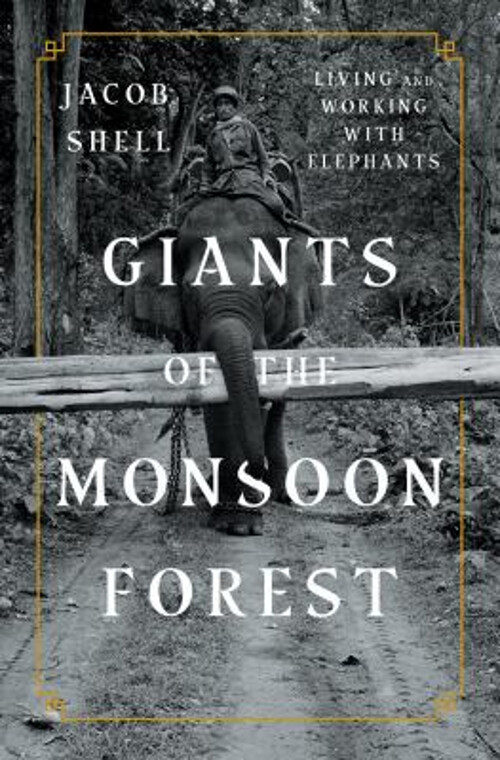 Explore the Majestic Lives of Elephants in Monsoon Forests with Giants of the Monsoon Forest