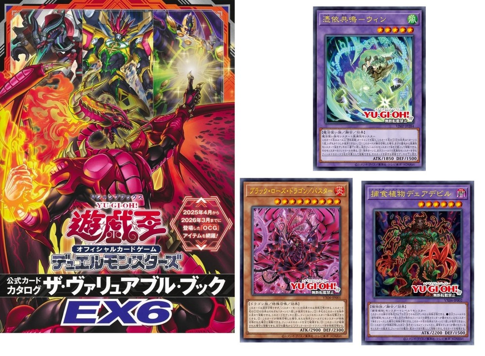 Yu-Gi-Oh! Official Card Game Duel Monsters Catalog Valuable Book EX6 w/ Promo