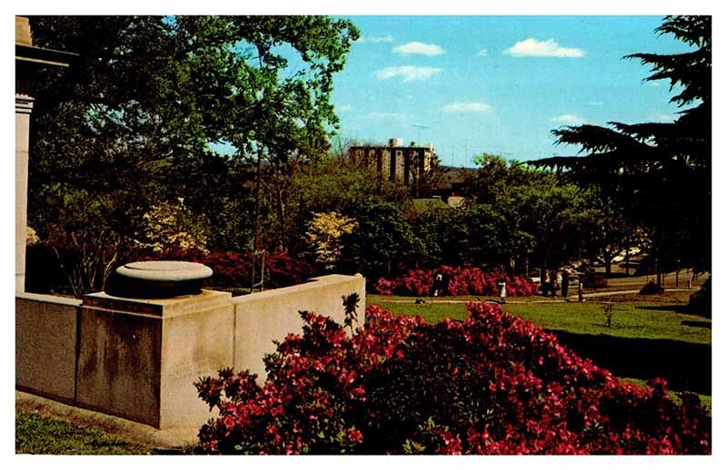 Postcard BUILDING SCENE Macon Georgia GA m/09 AU7382