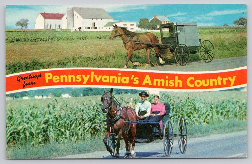 Vintage Photochrome Pennsylvania Amish Country Horse Buggy Postcard