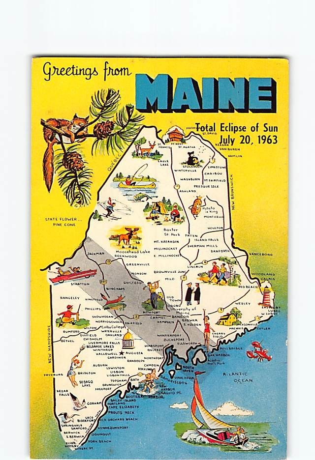 Postcard Greetings from Maine Pine Tree State Map USA North America