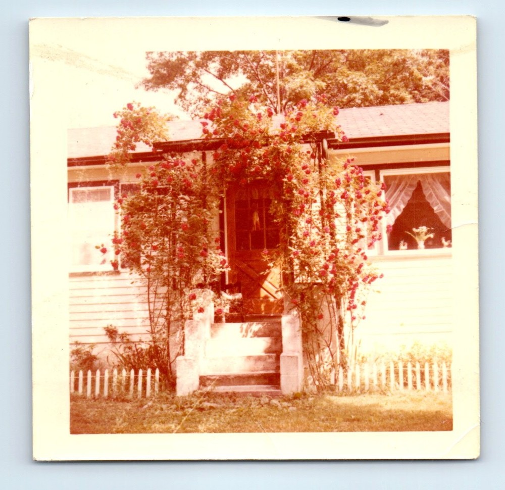 Old Vintage Square Color Photo CLOSE UP OF HOUSE DOOR AND PLANTS SNAPSHOT