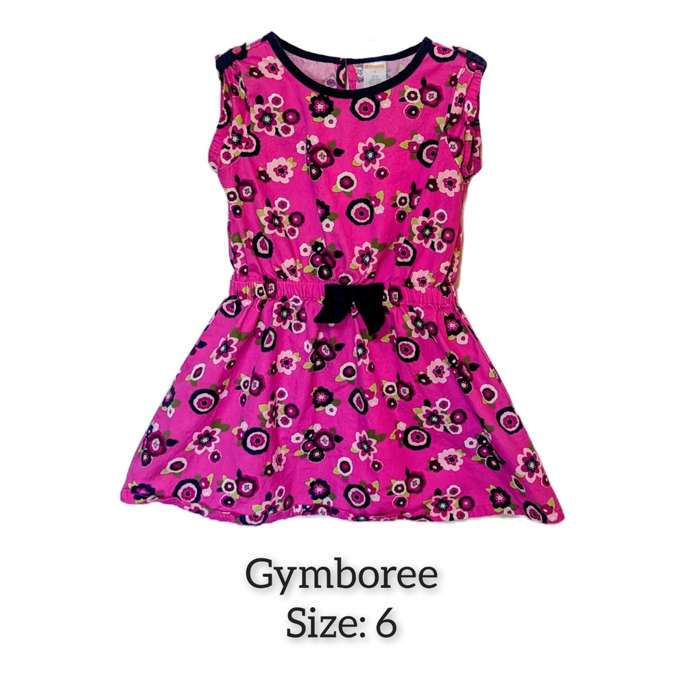 Gymboree Girls Size 6 Pink Floral Fit & Flare Sleeveless Knee Length Dress