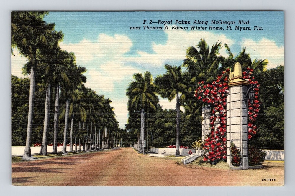 Ft. Myers FL-Florida, Royal Palms Along McGregor Blvd, Vintage Postcard