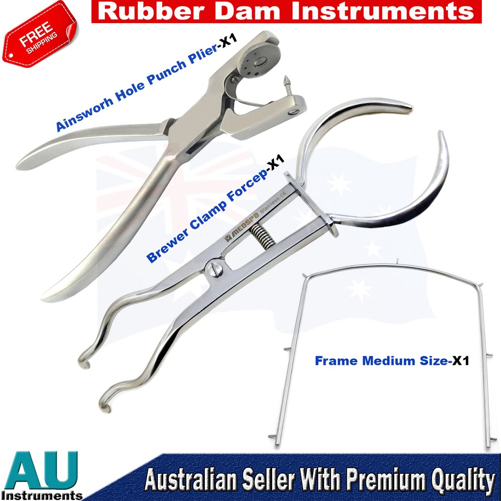 Endodontic Dental Hole Punch Pliers Restorative Brewer Dentistry Frame