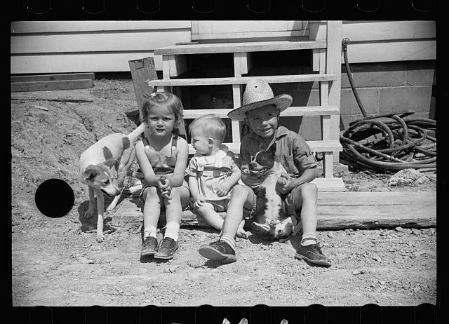Photo:Decatur Indiana 1936 Homesteader Children With Puppies