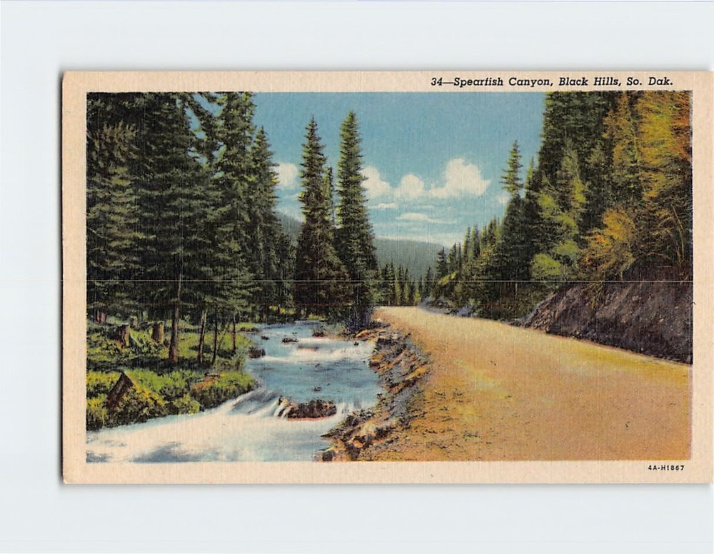 Postcard Spearfish Canyon Black Hills South Dakota