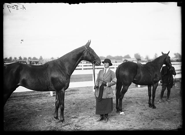 Photo:Horse Show 1910s Woman with Racehorses Equestrian Event