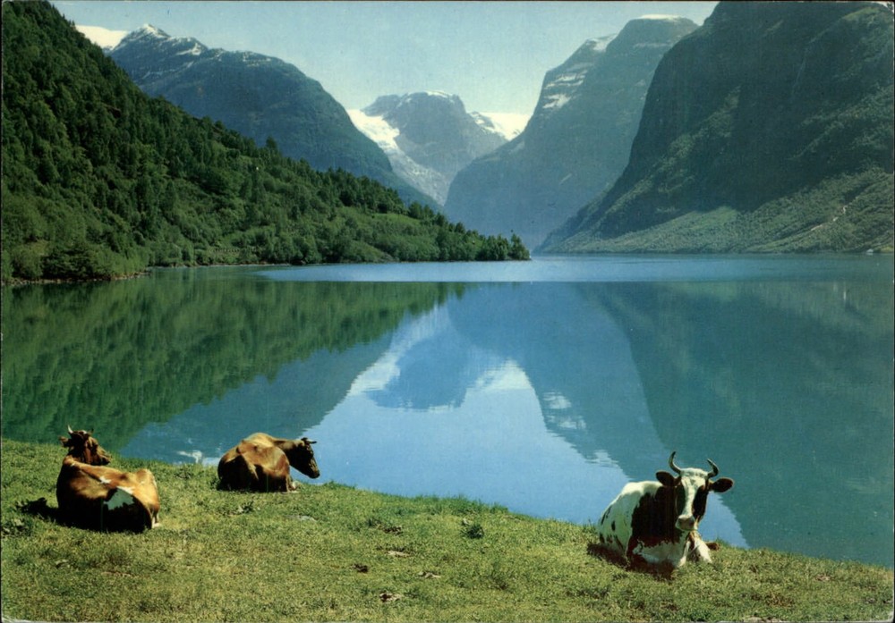 Loen Norway fjord lake vintage postcard sku859